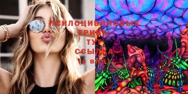 кокс Алексеевка