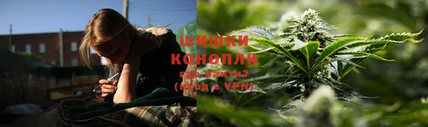 гидропоника Алзамай
