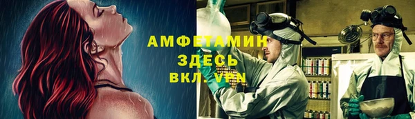 гидропоника Алзамай