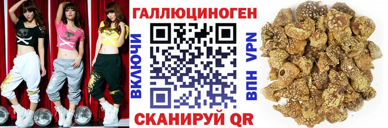 Галлюциногенные грибы Psilocybe  Енисейск 